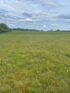 Property for sale A wide, open grassy field under a partly cloudy sky stretches along Washpond Lane, with some trees lining the horizon in the distance. The green grass is dotted with small white flowers—an ideal spot for freehold plots at a Surrey Land Auction. Presented by Palace Auctions