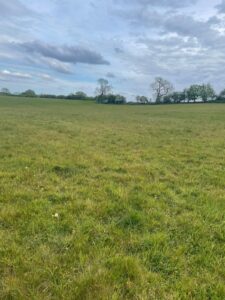 Property for sale A wide, grassy field stretches out beneath a cloudy blue sky in Surrey, with a few scattered trees along the horizon. This calm and open scene features bright green grass in the foreground—ideal for those seeking Freehold Plots at the Washpond Lane Land Auction. Presented by Palace Auctions