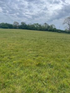 Property for sale A wide, green grassy field stretches towards a line of trees in the distance under a cloudy sky—an inviting landscape perfect for those seeking Freehold Plots Surrey or exploring Land for Sale opportunities. Wildflowers dot the open land, adding natural charm. Presented by Palace Auctions