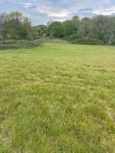 Property for sale A grassy field stretches towards a tree-lined horizon under a cloudy sky, with a narrow road—Washpond Lane—and more trees visible on the left side, highlighting the potential of these freehold plots for an upcoming land auction. Presented by Palace Auctions