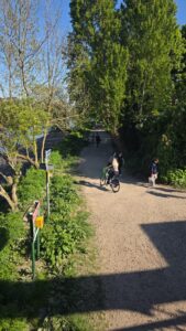 Property for sale A sunlit dirt path on Clavering Avenue, SW13, with green trees on both sides. A person rides a bicycle whilst others walk. Shadows and lush foliage are visible, and a river runs alongside the path on the left. Presented by Palace Auctions