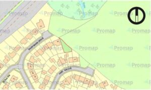 Property for sale A map showing a suburban area with houses on Danesbank Drive and Pine Grove highlights a small, outlined triangular plot of land for sale in Sandbach near green open space. Roads, buildings, and adjacent parkland are visible. Presented by Palace Auctions